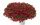 КАЛИБРАХОА Lia Dark Red
