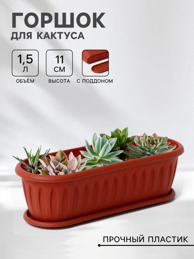 Горшок для кактуса с поддоном «Фелиция», 1.5 л, терракотовый
