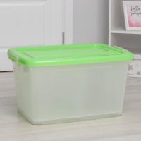 Ящик для хранения Darel-box, 75 л, 70?49?37 см, с крышкой, МИКС