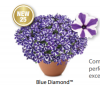 ПЕТУНИЯ Blue Diamond