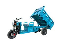 Грузовой электротрицикл Rockwild Cargo Pro Q05 60V + аккумулятор 45AH