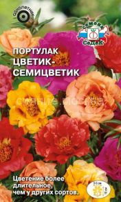 Портулак Цветик-семицветик (крупноцветковый, махровый, смесь) , 0,1 гр (СеДек)