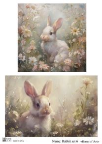 Rabbit set 6