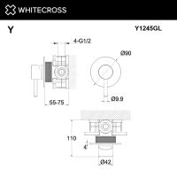 Смеситель для душа скрытого монтажа WHITECROSS Y Y1245GL золотого цвета схема 3