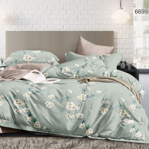 КПБ AP-171 - Поплин Valtery