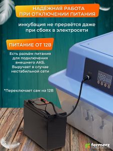 Инкубатор на 24 куриных яиц с резервным питанием, автоматическим переворотом и встроенным овоскопом