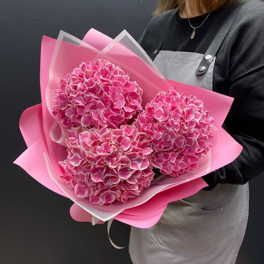 Розовая гортензия