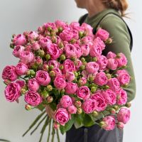 Розы кустовые  под ленту