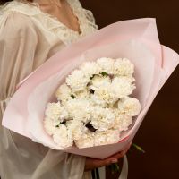 белые диантусы 25