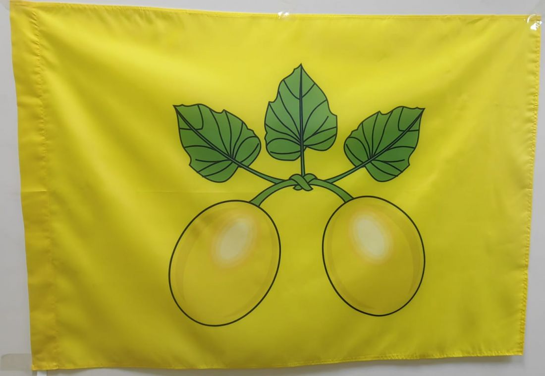 Флаг Сердобска 135х90см.