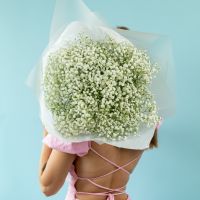 7 белых гипсофил