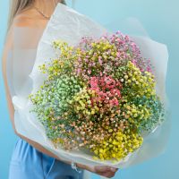 Гипсофила микс 7 шт