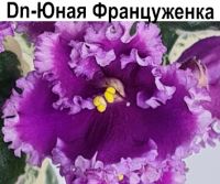 Dn-Юная Француженка