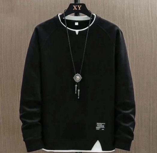 Толстовка мужская 50029