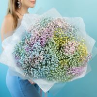 Гипса радужная 25 шт