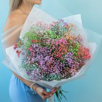 Гипсофила микс 15 шт