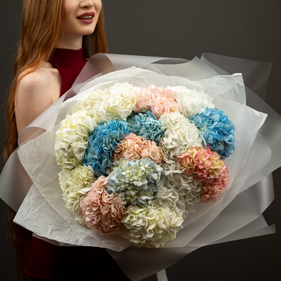 Гортензия 15 шт (микс)