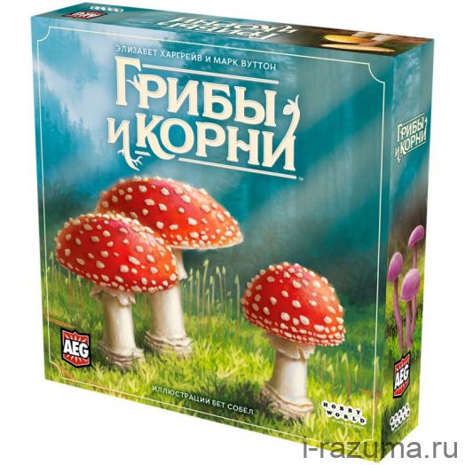 Грибы и корни