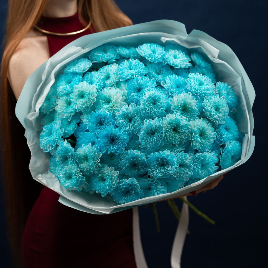 15 хризантем голубых