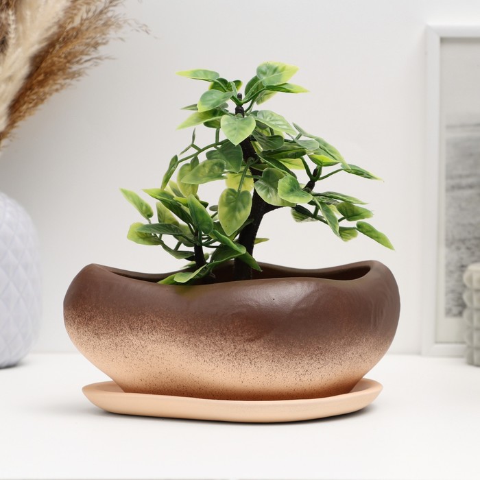 Горшок для кактусов и суккулентов «Бонсай», 600 мл, 17?14?8 см, керамический, с поддоном, коричневый