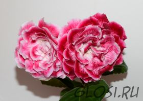 ЕН-Назови Меня Любимой (сел.Е.Николаева) Новинка 2024!