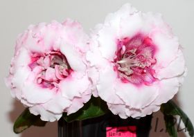 ЕН-Русалина (сел.Е.Николаева) Новинка 2025!