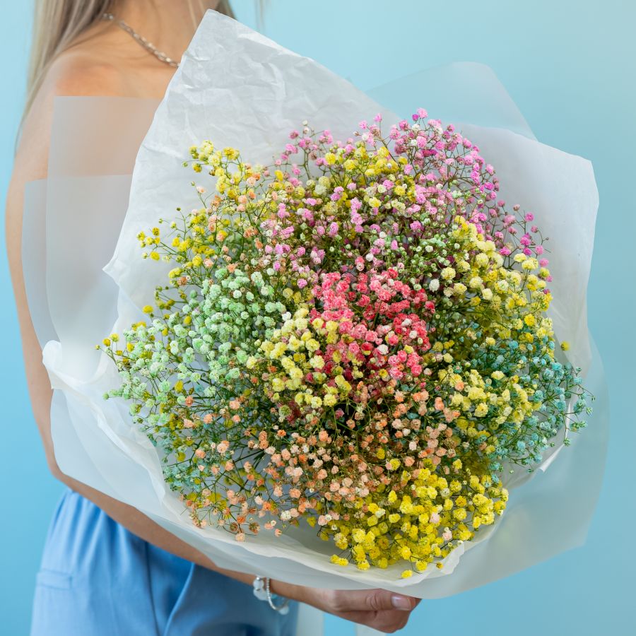 Гипсофила радужная 7 шт