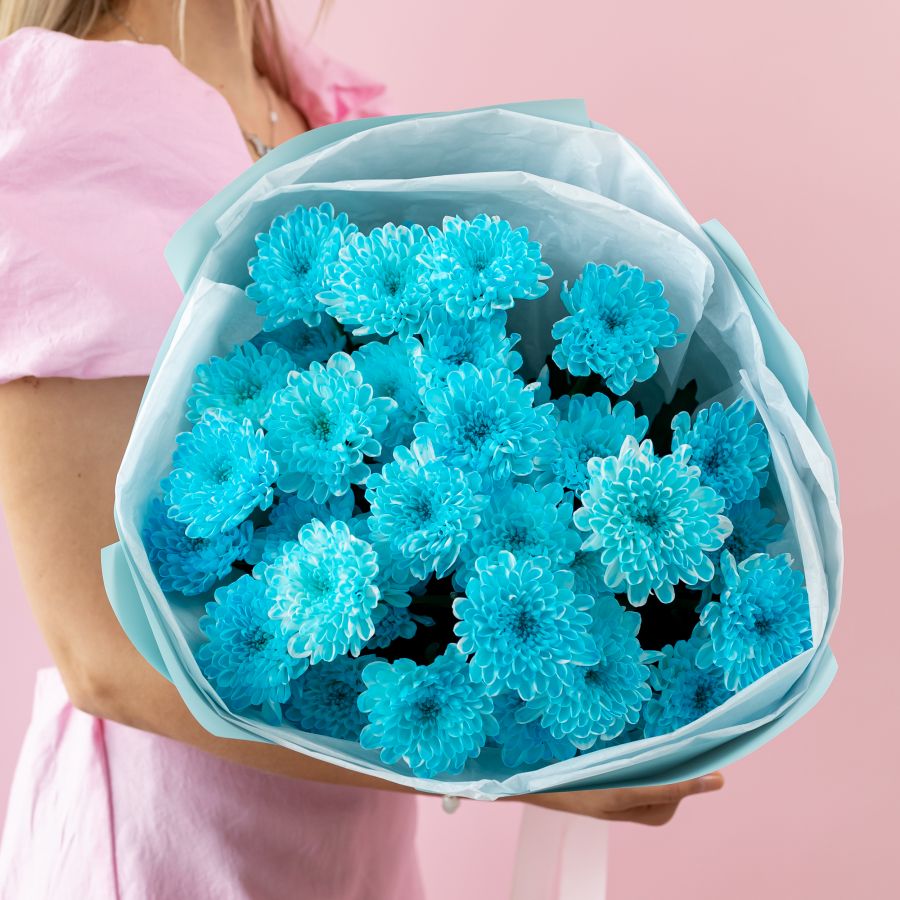 5 голубых хризантем