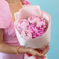 5 пионов в упаковке