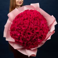 101 розовая роза в упаковке 60см
