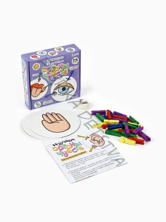 Развивающий игровой детский набор «Органы чувств», 30 прищепок, 3+