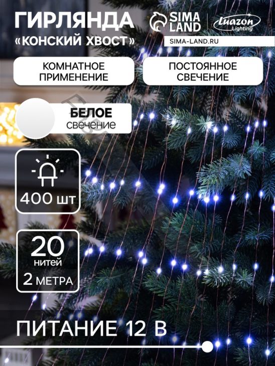 Гирлянда «Конский хвост» 20 нитей по 2 м, нить медная, 400 LED, 12 В, блок питания в комплекте, фиксинг, свечение белое
