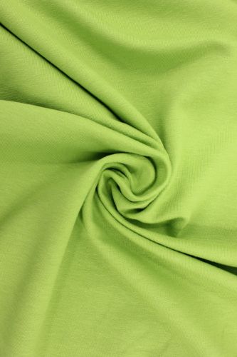 Футер 2-х нитка петля Classic 240 гр  SU31  Фисташка