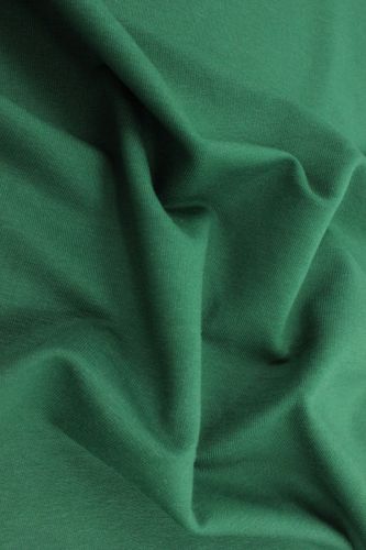 Футер 3-х нитка петля Classic SU26 Петроль