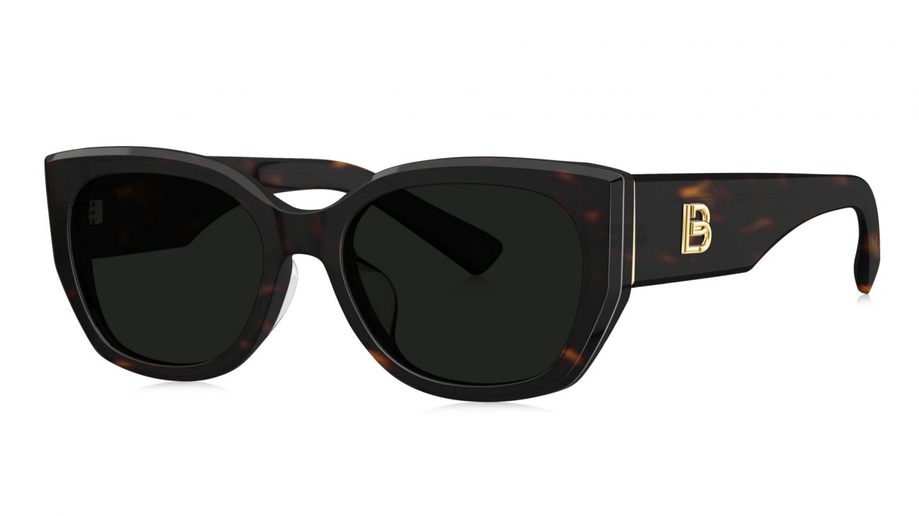 BL 3195 C20