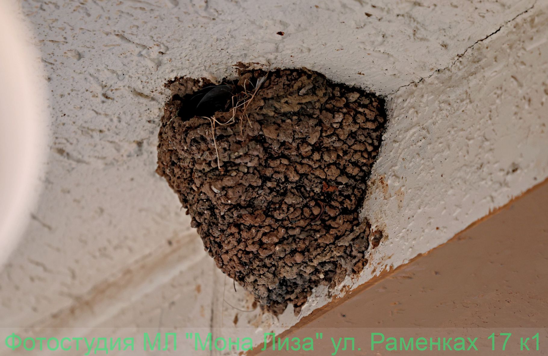 Виды с отеля