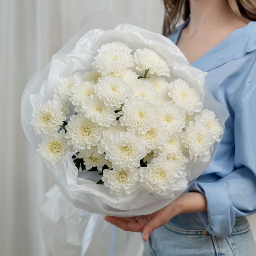 Хризантема от 5 шт (сорт Алтай)