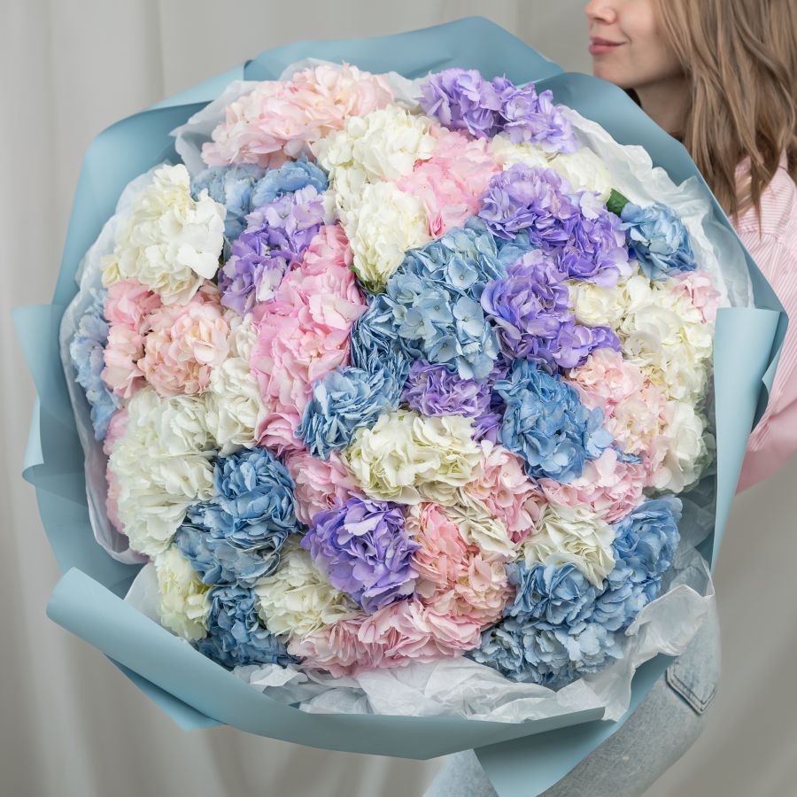 51 гортензия микс