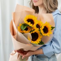 5 подсолнухов