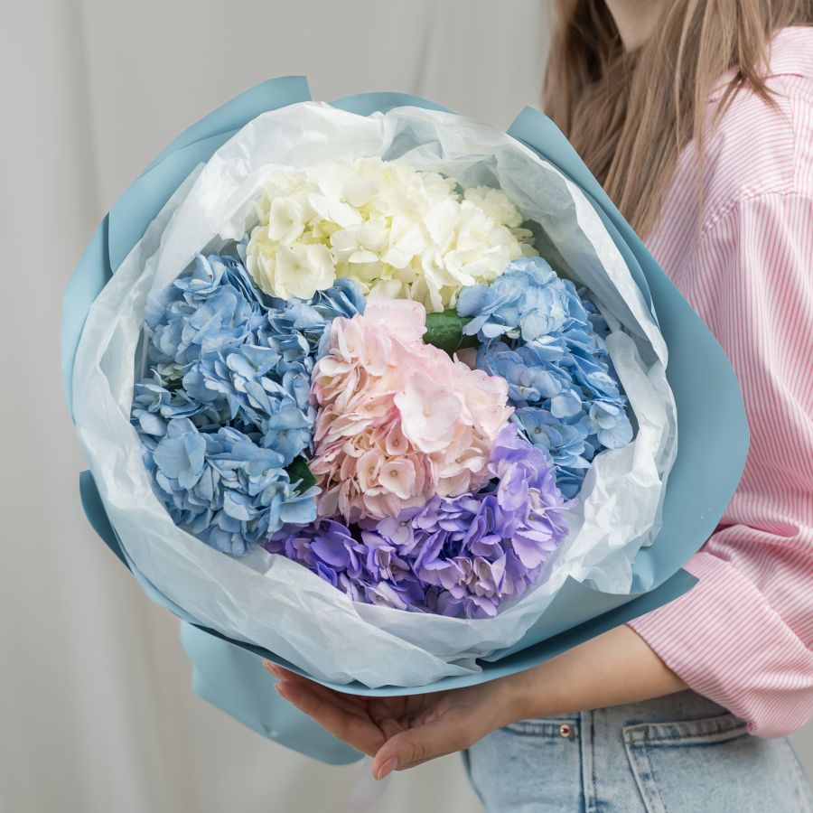 5 гортензий микс