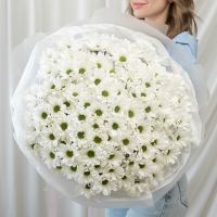 25 белых хризантем (сорт Бакарди)