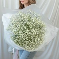 15 белых гипсофил