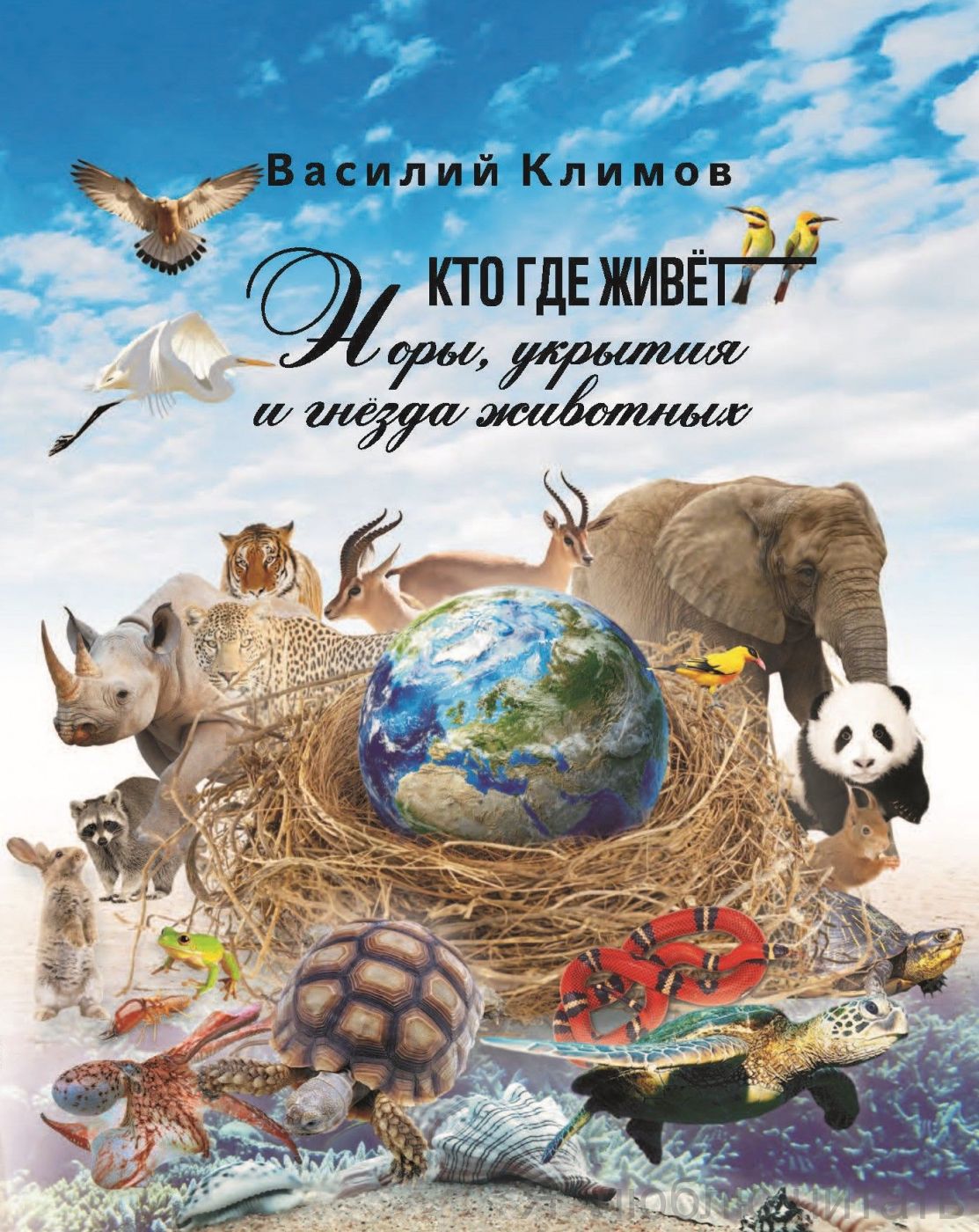 Кто, где живёт. Норы, укрытия и гнёзда животных