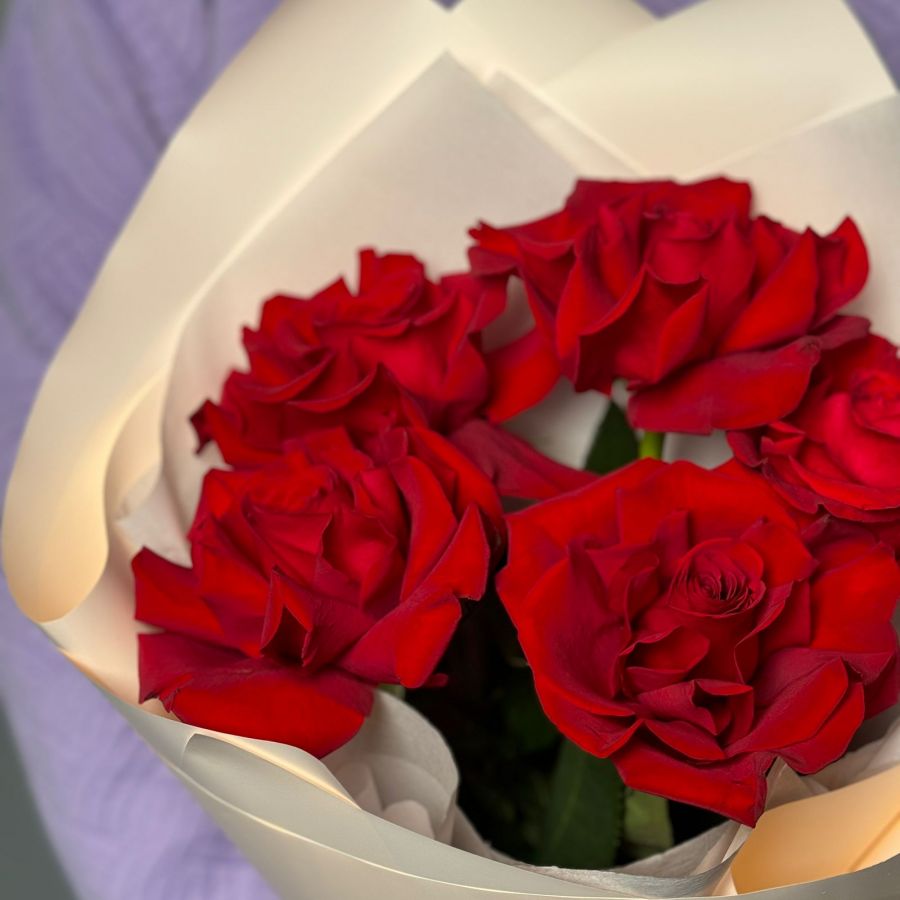 5 французских красных роз