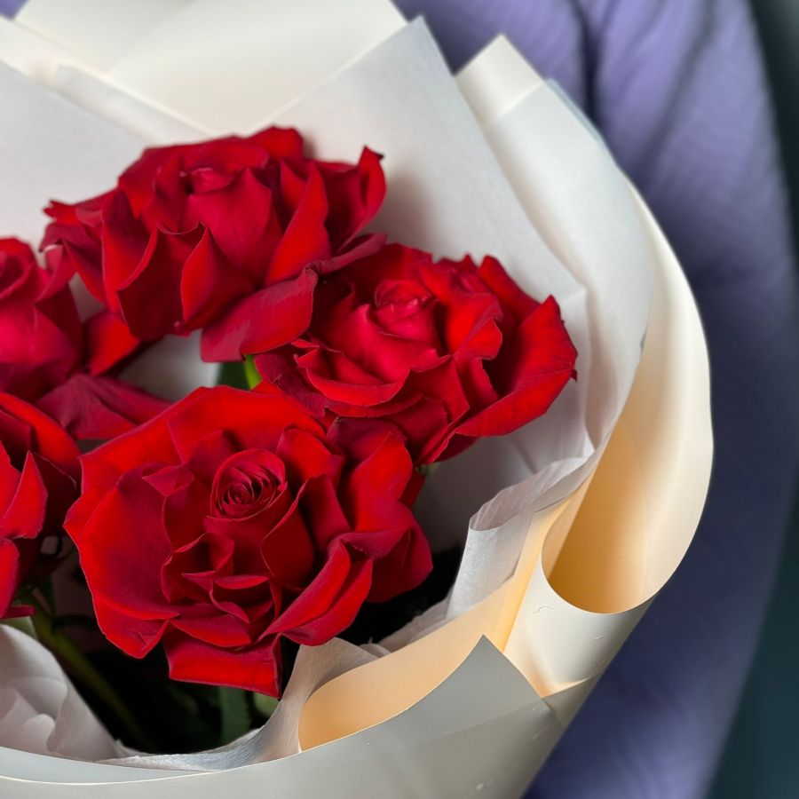 5 французских красных роз