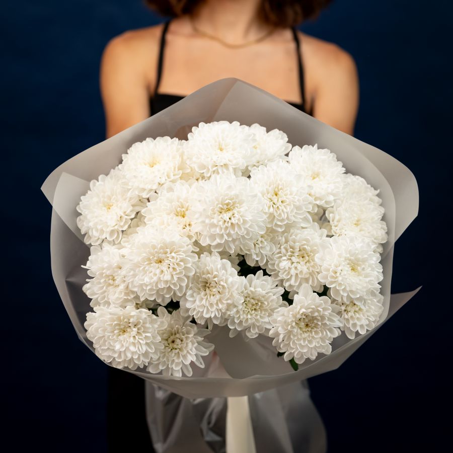 Хризантема (сорт Алтай) 5 шт