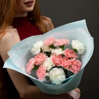 15 диантусов микс