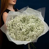 15 белых гипсофил