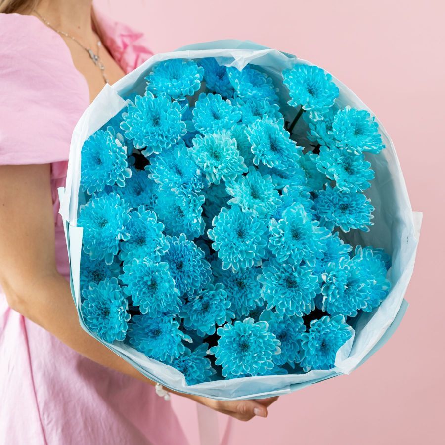 Голубая Хризантема от 5 шт