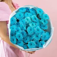 Голубая Хризантема от 5 шт